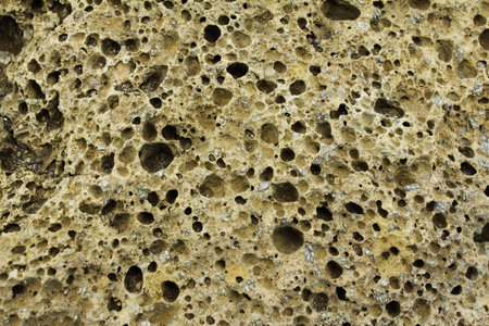 Porous lava rockの写真素材