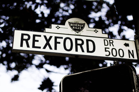 Rexford drive sign against a blue sky and silhouetted tree