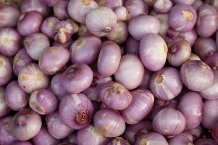 Onion spread out in a marketの写真素材