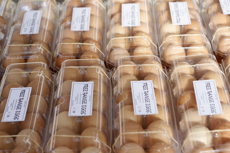 Free Range Eggsの写真素材