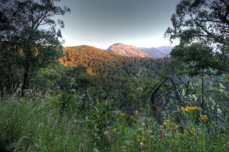 Snowy Mountains in Summer Time