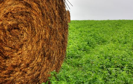 Golden Hay Bales in the countryside on a perfect sunny dayの写真素材