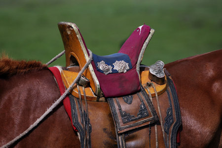 Nomad horse saddle in the Yol Valley, Gobi Desert steppes, Mongoliaの写真素材