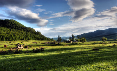 Mongolian dwelling on the green plain of grass