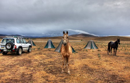 Snowy Mountains Horse Trekking Adventure in the Australian Outbackの写真素材