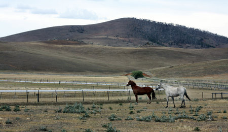 The snowy mountains in the outback of Australiaの写真素材