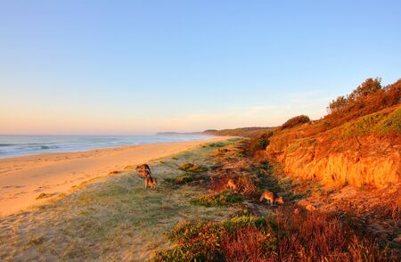 Sunrise by the beach in Tathra, NSWの写真素材