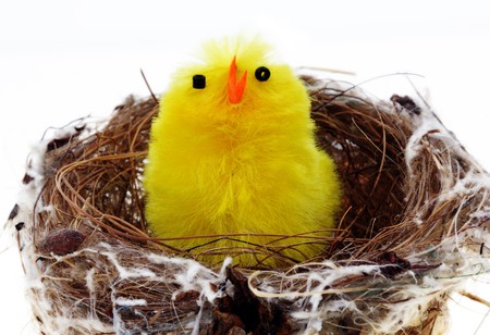 Easter background with decorative chickens in a nestの写真素材