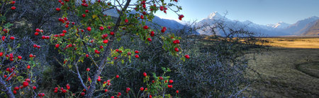 Mount Cook in New Zealand on a blue dayの写真素材