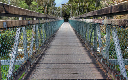 Bridge in a New Zealand rainforest around an old glacial lake
