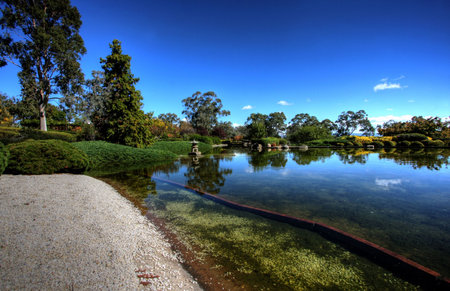 Serene Garden with greens and running waterの写真素材