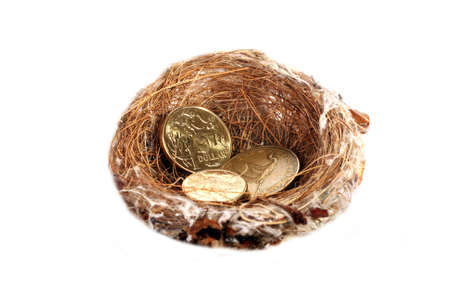 Money in nest, gold dollar coinsの写真素材