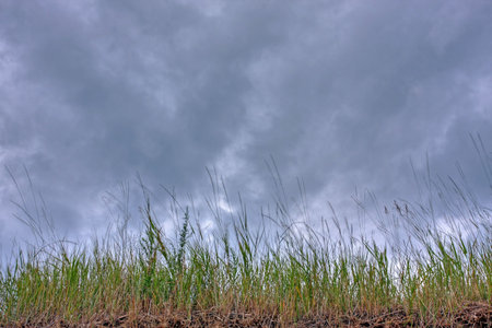 sand dunes on Lake Huron, Ontario, Canadaの写真素材