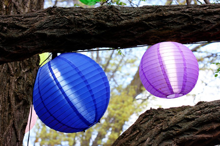 set of colorful light shades, hanging from treesの写真素材