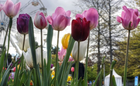 Colorful garden in springtime with trees and flowersの写真素材