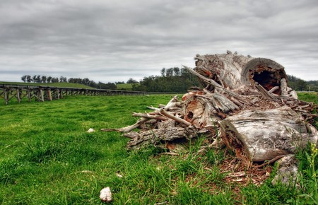 fallen log on green grass against railwayの写真素材