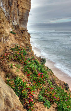 coastal views along great ocean roadの写真素材