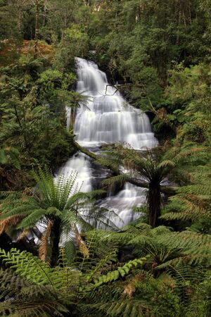 Triplet Falls in Otway National Parkの写真素材