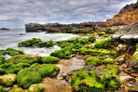 rock covered in green algae landscapeの写真素材