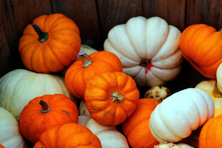 bunch of pumpkins for sale before Halloween 