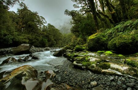 tropical creek, flowing with glacier waterの写真素材