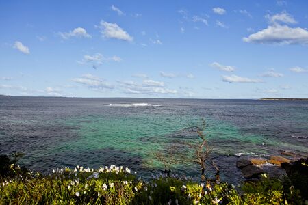 south Sydney beach side in the shireの写真素材