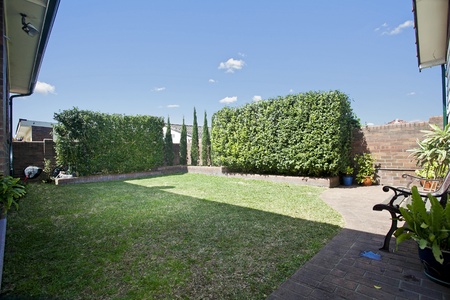 modern decking and gardenの写真素材