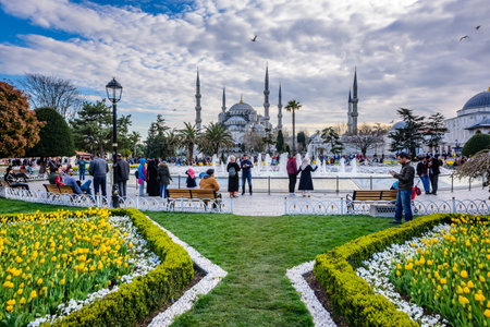 Traditional tulip Festival in Sultanahmet Square Park with view of Sultan Ahmet Mosque(Blue Mosque)on background and colorful tulips on foreground.ISTANBUL,TURKEY- APRIL 4,2017のeditorial素材