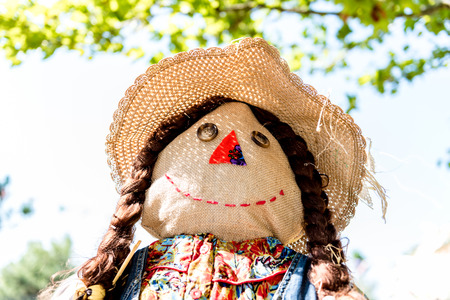 Close portrait view of happy scarecrow doll standing aloneの写真素材