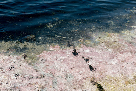 Waste water environmental pollution Nature. Dirty and bubbles water background.Water pollution...