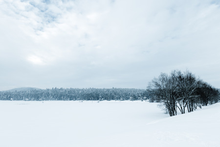 View of Winter frozen lake with pine forest at a cloudy dull dayの写真素材