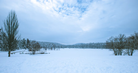 View of Winter frozen lake with pine forest at a cloudy dull dayの写真素材