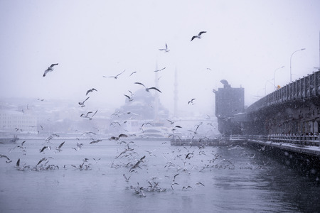 Winter seascape view of Popular New Mosgue and Galata Bridge.Seagulls flying over bosphorus on a snowy day in winter.の写真素材