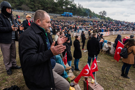 Unidentified Turkish people eating and watching camel wrestling in arena.Camel wrestling is popular tourist attraction in Selcuk,Turkey,January 16, 2017のeditorial素材