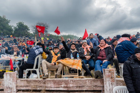 Unidentified Turkish people eating and watching camel wrestling in arena.Camel wrestling is popular tourist attraction in Selcuk,Turkey,January 16, 2017のeditorial素材