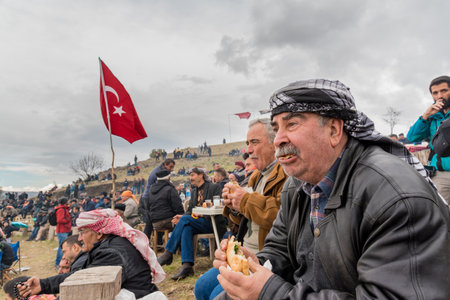 Unidentified Turkish people eating and watching camel wrestling in arena.Camel wrestling is popular tourist attraction in Selcuk,Turkey,January 16, 2017のeditorial素材