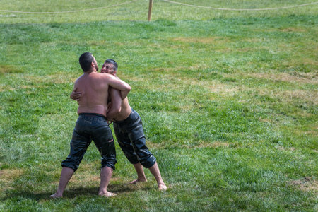Unidentified Turkish people perform oil wrestling.Oil wrestling or grease wrestling (Yagli Gures) is Turkish national sport.ISTANBUL,TURKEY,May 13,2017のeditorial素材