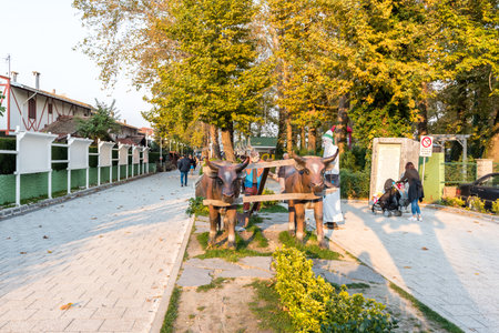 Unidentified people spending time at park near Sapanca lake,a popular destination for locals and tourists.Kocaeli.Turkey.22 October,2017のeditorial素材