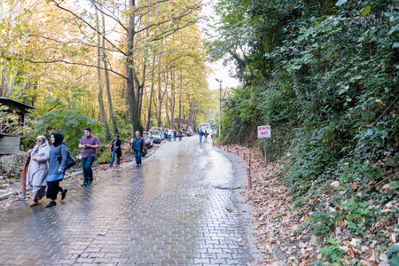 Unidentified people spending time at Masukiye,a popular destination for locals and tourists.Kocaeli.Turkey.22 October,2017のeditorial素材
