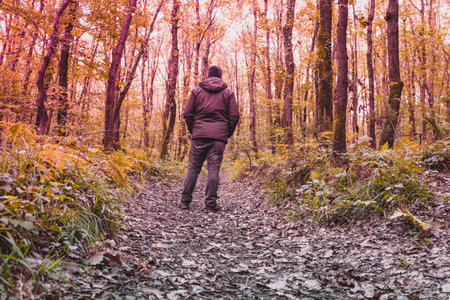 Man walking on narrow forest road with trees around, dry leaves on the ground.
