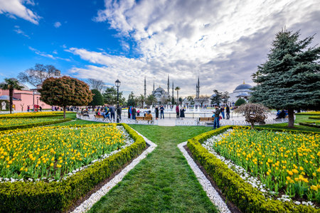 Traditional tulip Festival in Sultanahmet Square with view of Sultan Ahmet Mosque(Blue Mosque).Istanbul,Turkey.04 April,2017のeditorial素材