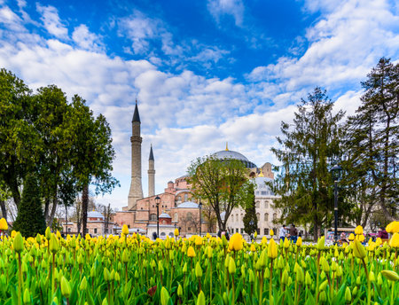 Traditional tulip Festival in Sultanahmet Square with view of Sultan Ahmet Mosque(Blue Mosque).Istanbul,Turkey.04 April,2017のeditorial素材