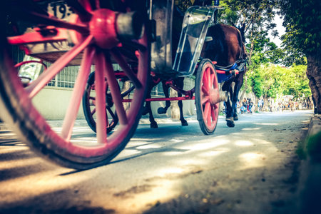 Coach or Horse carriage with tourists at Buyukada (meaning Big Island in English) or Prince...