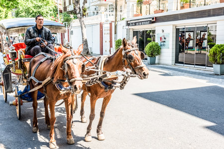Coach or Horse carriage with tourists at Buyukada (meaning "Big Island" in English) or Prince Island.Buyuk ada is famous for beautiful streets and phaeton tour in Istanbul,Turkey.20 May 2017のeditorial素材