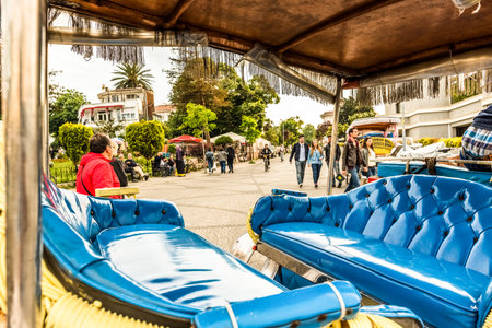 Coach or Horse carriage at Buyukada (meaning "Big Island" in English) or Prince Island.Buyuk ada is famous for beautiful streets and phaeton tour in Istanbul,Turkey.20 May 2017のeditorial素材