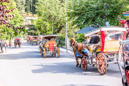Coach or Horse carriage with tourists at Buyukada (meaning "Big Island" in English) or Prince Island.Buyuk ada is famous for beautiful streets and phaeton tour in Istanbul,Turkey.20 May 2017のeditorial素材