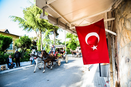Coach or Horse carriage with tourists at Buyukada (meaning "Big Island" in English) or Prince Island.Buyuk ada is famous for beautiful streets and phaeton tour in Istanbul,Turkey.20 May 2017のeditorial素材