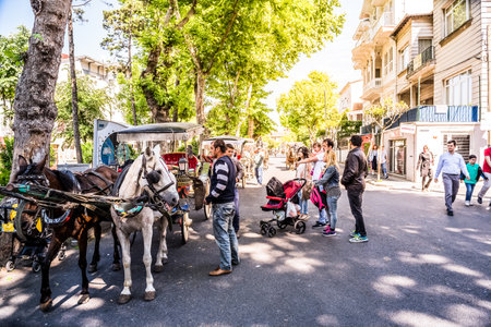 Coach or Horse carriage with tourists at Buyukada (meaning "Big Island" in English) or Prince Island.Buyuk ada is famous for beautiful streets and phaeton tour in Istanbul,Turkey.20 May 2017のeditorial素材