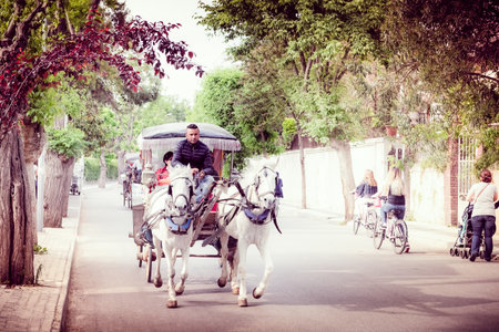 Coach or Horse carriage with tourists at Buyukada (meaning "Big Island" in English) or Prince Island.Buyuk ada is famous for beautiful streets and phaeton tour in Istanbul,Turkey.20 May 2017のeditorial素材