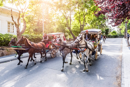 Coach or Horse carriage with tourists at Buyukada (meaning "Big Island" in English) or Prince Island.Buyuk ada is famous for beautiful streets and phaeton tour in Istanbul,Turkey.20 May 2017のeditorial素材